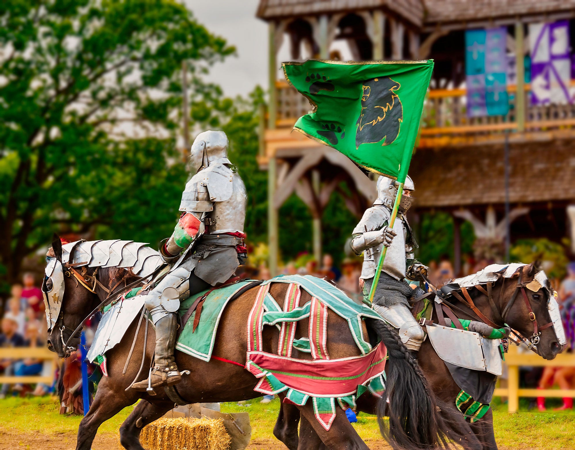 48th Annual Texas Renaissance Festival