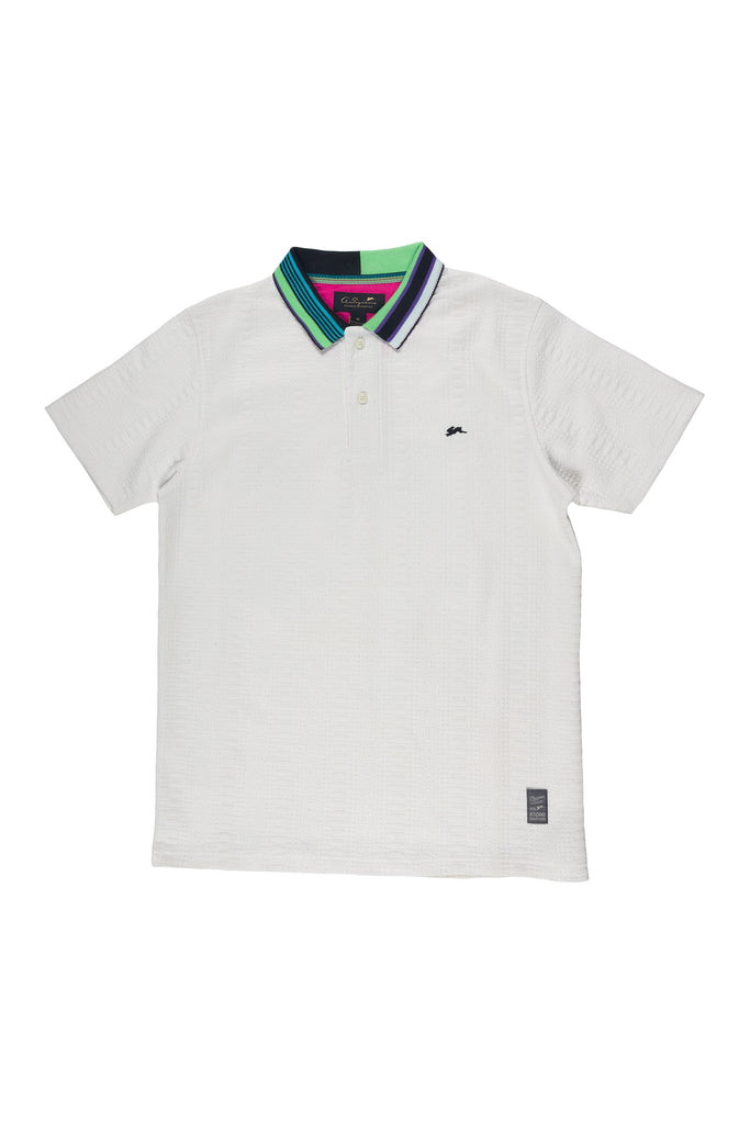 Asher | Men's Knit Polo